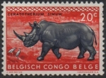 Stamps Belgium -  Reinoceronte