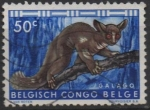 Sellos de Europa - B�lgica -  Bushbaby d' cola gruesa