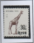 Stamps North Korea -  Jirafa