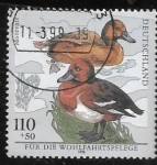 Stamps Germany -  aves