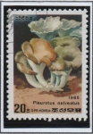 Stamps North Korea -  Hongos Pluerotus Ostreatus