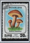 Stamps North Korea -  Hongos Impolitus Boletus