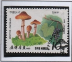 Stamps North Korea -  Setas y Frutos Silvestres: Rocites Camperata y Vitisamurensis