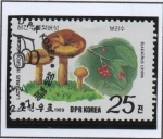 Stamps North Korea -  Setas y Frutos Silvestres: Hygrophoides Lactarius y Eleagnus crispa