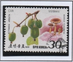 Sellos de Asia - Corea del norte -  Setas y Frutos Silvestres: Placomyces Agaricus y Actinidia arguta