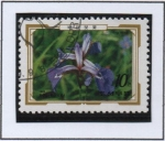 Stamps North Korea -  Flores Alpinas: Iris setosa