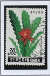 Stamps North Korea -  Flores d Castus: Hybridus Phyllocactus