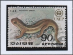 Stamps North Korea -  Dia mundial d' medio Ambiente: Salamandra China