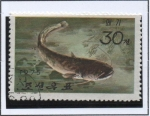 Stamps North Korea -  Peces d' agua dulce: Bagre