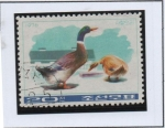 Stamps North Korea -  Patos y Gansos: Patos domesticos