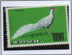 Stamps North Korea -  Faisanes: Faisan d' Plata