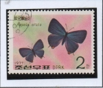 Stamps North Korea -  Mariposas: Arata Rapala