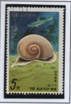 Stamps North Korea -  Peces y Moluscos: Natica Fortunel