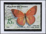 Stamps North Korea -  Mariposas e Insectos: Colias heos