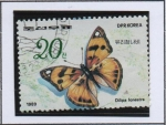 Sellos de Asia - Corea del norte -  Mariposas e Insectos: Dilipa Fenestra