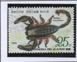 Stamps North Korea -  Mariposas e Insectos: Buthus martensis