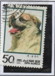 Stamps North Korea -  Perros: Olruki