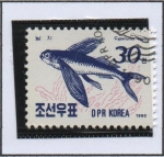 Stamps North Korea -  Peces: Cypsilurus