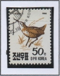 Sellos de Asia - Corea del norte -  Aves: Ferroviario d' agua