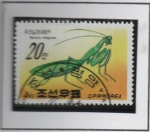 Stamps North Korea -  Insectos: Mantis Religioas