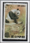 Sellos de Asia - Corea del norte -  Oso Panda