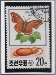 Stamps North Korea -  Polillas d' Seda:Antheraea pernyi