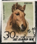 Stamps North Korea -  Caballos Salvajes: 