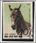 Stamps North Korea -  Caballos Salvajes: 