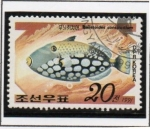 Stamps North Korea -  Peces: Ballesta-Big manchado