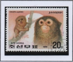 Stamps North Korea -  Monos: Titíes Pigmeos