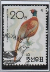 Stamps North Korea -  Aves: Faisán Anillo-necke