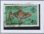 Stamps North Korea -  Ranas y Sapos: Rana Moor