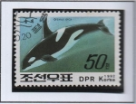 Stamps North Korea -  Ballenas y Delfines: Orca