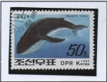 Stamps North Korea -  Ballenas y Delfines: Ballena Jorobada