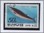 Stamps North Korea -  Ballenas y Delfines: Ballena Ottelenosed