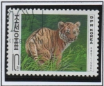 Stamps North Korea -  Cachorro d' Tigre