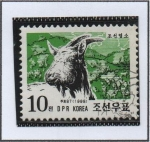 Stamps North Korea -  Cabras Coreanas