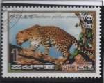 Sellos de Asia - Corea del norte -  Leopardo: en la rama