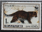 Sellos de Asia - Corea del norte -  Leopardo: en la nieve