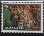 Stamps North Korea -  Leopardo: Cara completa