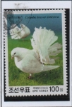 Stamps North Korea -  Aves: Columba livia var doestricus