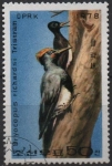 Stamps North Korea -  Pajaro Carpintero: en troco d' arbol