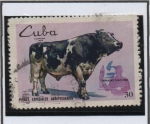 Stamps Cuba -  Ganado Vacuno