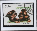 Stamps Cuba -  Animales d' Zoo: Chimpaces