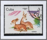 Stamps Cuba -  Animales d' Zoo: Corzos