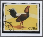 Sellos de America - Cuba -  Gallos d' Pelea: Cenizo