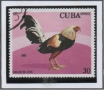 Sellos de America - Cuba -  Gallos d' Pelea: Giro