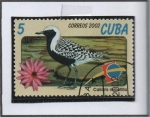 Stamps Cuba -  Calidris