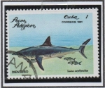 Stamps Cuba -  Peces. Dientuso