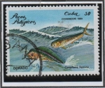 Sellos de America - Cuba -  Peces: Dorada